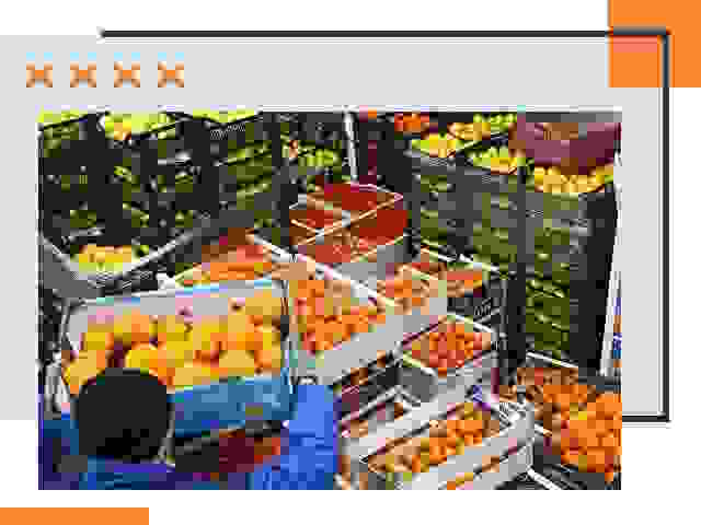 Перевозка скоропортящихся продуктов в Артеме